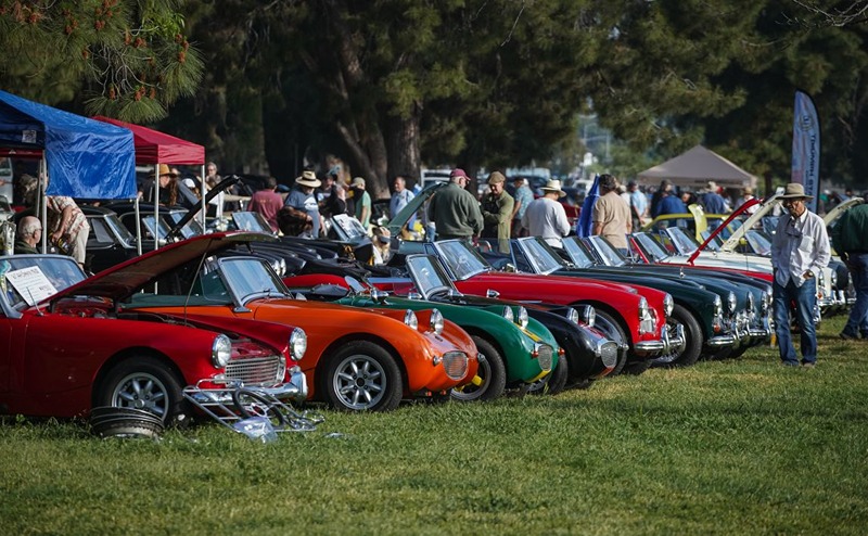Colorful British roadsters lined up at park car show - Facebook photo